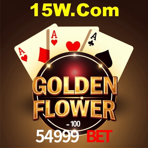 A Experiência Imersiva dos Cassinos Ao Vivo no 54999 Bet